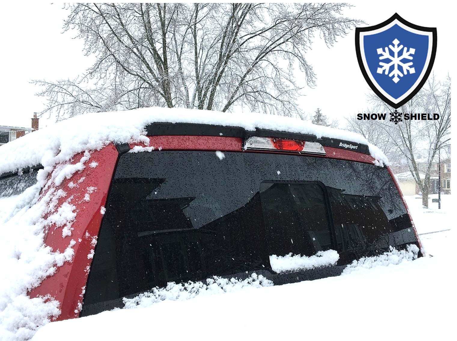 Ford Snow Sheild